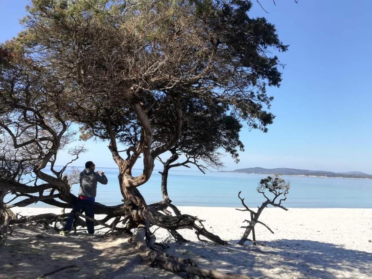 Bed and Breakfast L'Anfora Alghero Zewnętrze zdjęcie