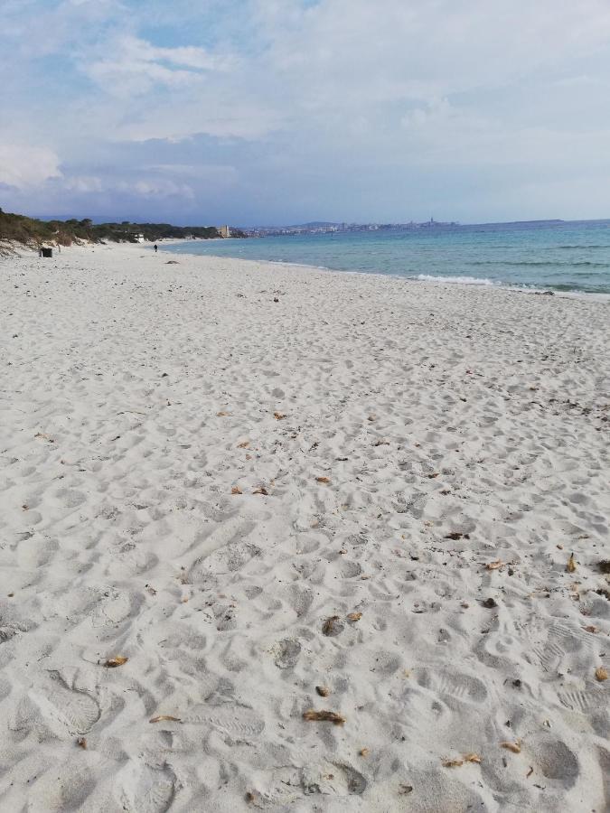 Bed and Breakfast L'Anfora Alghero Zewnętrze zdjęcie