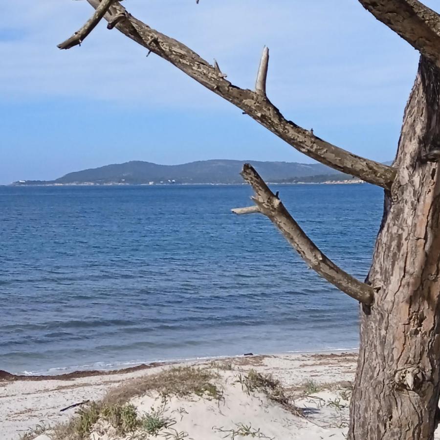 Bed and Breakfast L'Anfora Alghero Zewnętrze zdjęcie